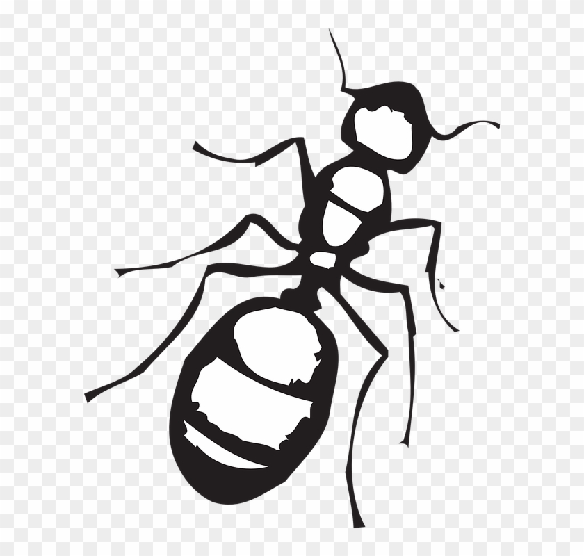 Legs Clipart Ant - Ant Clip Art Black And White #1624758