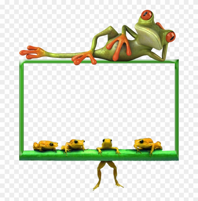 Cadre Grenouille - Funny New Year Quotes 2019 #1624884