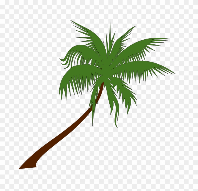 Medium Size Of Christmas Tree - Palm Tree Vector Png #1625149