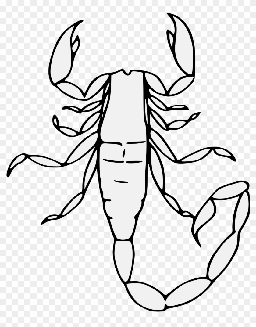 Scorpion - Line Art #1625183