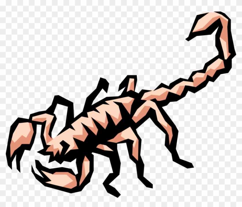 Vector Illustration Of Predatory Arachnid Scorpion - Vector Illustration Of Predatory Arachnid Scorpion #1625200