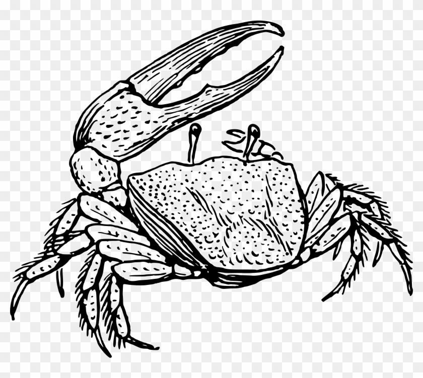 Clipart Fiddler Crab Scorpion Logo Design Spider Clip - Black And White Fiddler Crab #1625204