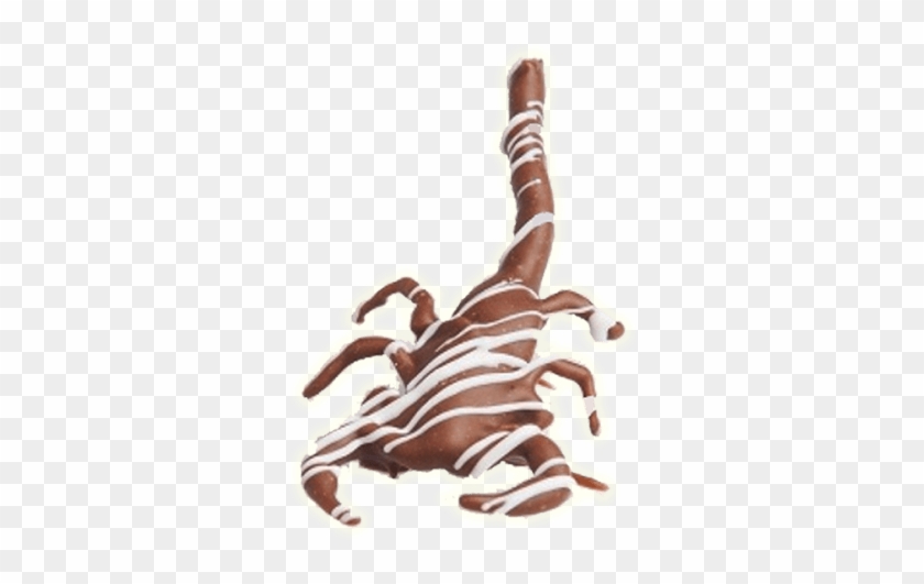 Chocolate Covered Scorpion - Chocolate Covered Scorpion #1625229