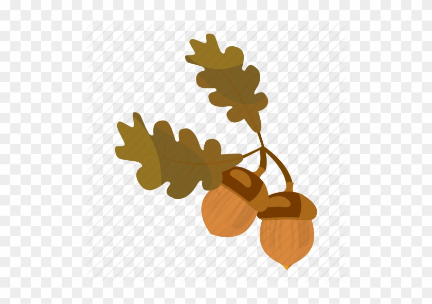 512 X 512 4 - Acorn Cartoon #1625897