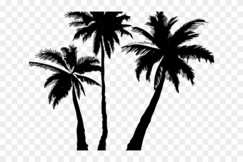 Palm Tree Clipart Stylized - High Resolution Palm Tree Silhouette Png #1626256