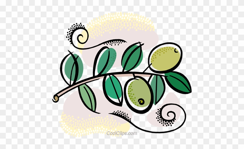 Olive Branch With Olives Royalty Free Vector Clip Art - قطف الزيتون للاطفال #1626375