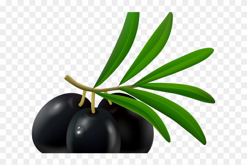 Olive Clipart Black Plum - Olive #1626378