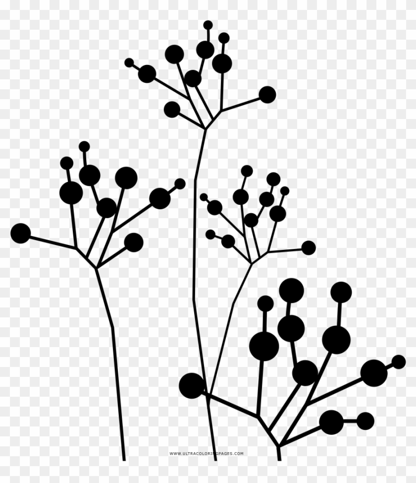 Dandelion Coloring Page - Coloring Book #1626387