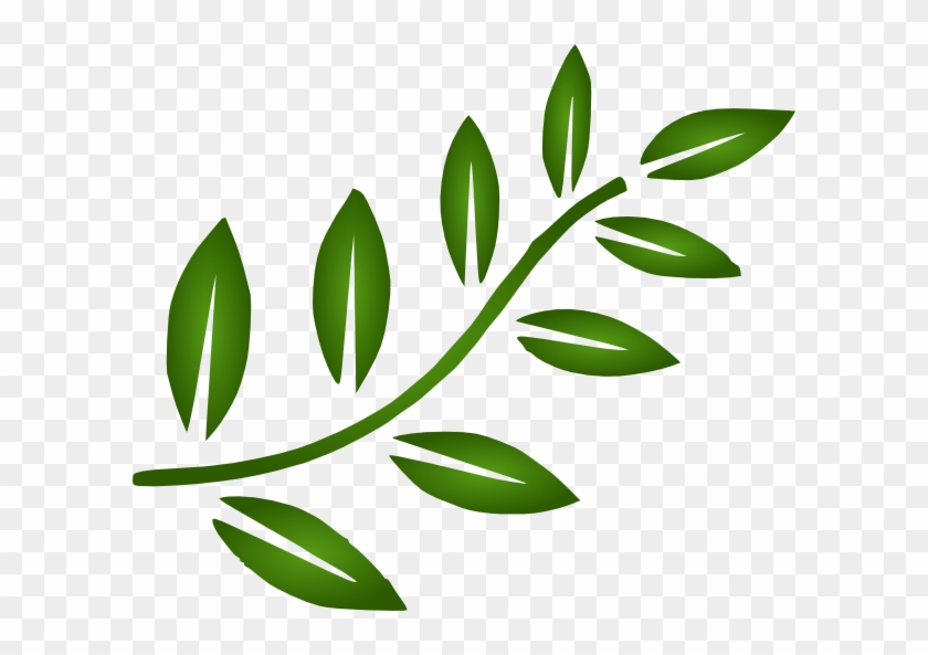This Free Clip Arts Design Of Branch Png - This Free Clip Arts Design Of Branch Png #1626389