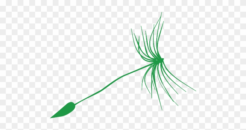 Dandelion-fr - Dandelion-fr #1626403