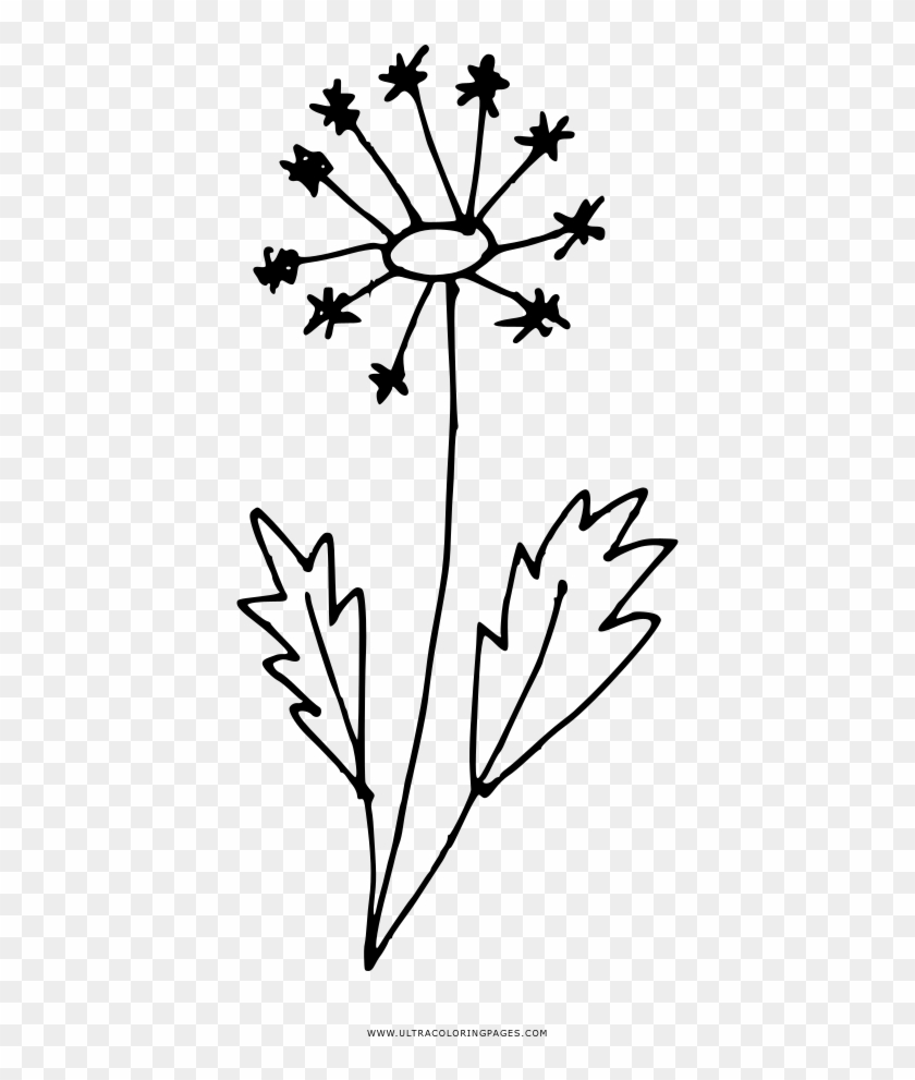 Nice Dandelion Coloring Pages Page Ultra - Line Art #1626404