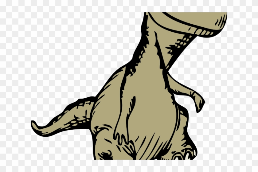 Sleleton Clipart Trex - Dinosaur #1626479