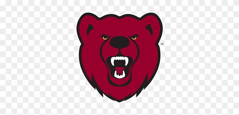 Ursinus College Bears - Ursinus College #1626550