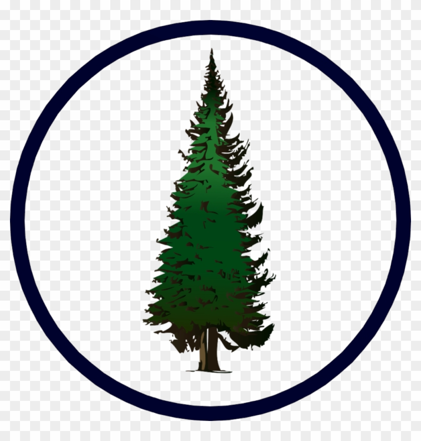 Pine Tree Clip Art , Png Download - Fir Clipart #1626651