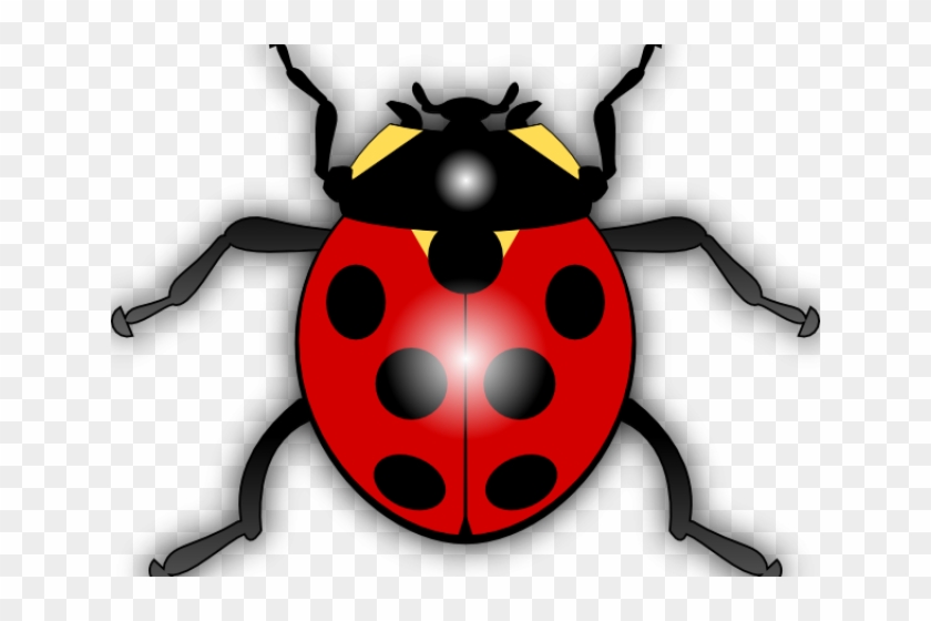 Beetles Clipart Clip Art - Ladybird Clipart #1626707
