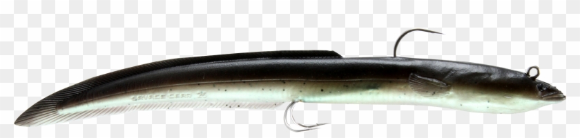 Eels Clipart Flotsam - Anago #1627085