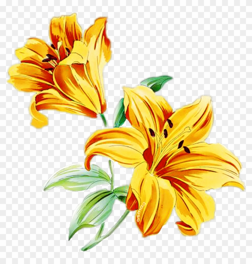 Flowerbranch Flowercrown Rosesarebeautiful Yello Lily - Yellow Flower Background Png #1627206