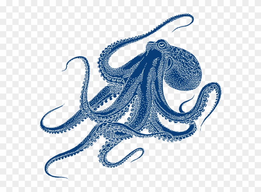Octopus Drawing #1627330