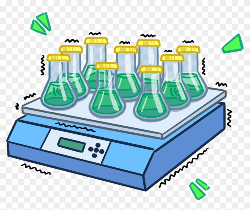 For The Vector Construction, Sqr Gene Was Cloned Into - For The Vector Construction, Sqr Gene Was Cloned Into #1627438