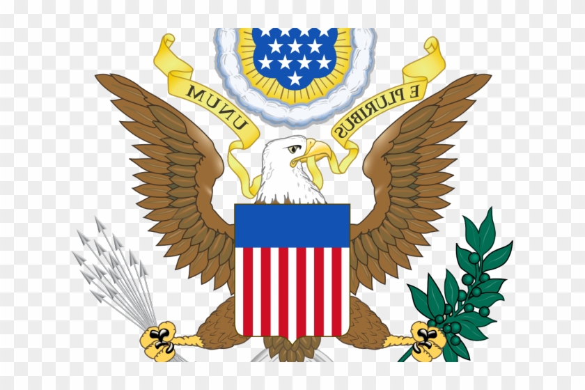 Bird Of Prey Clipart Continental Congress - Symbol Of America Eagle #1627494