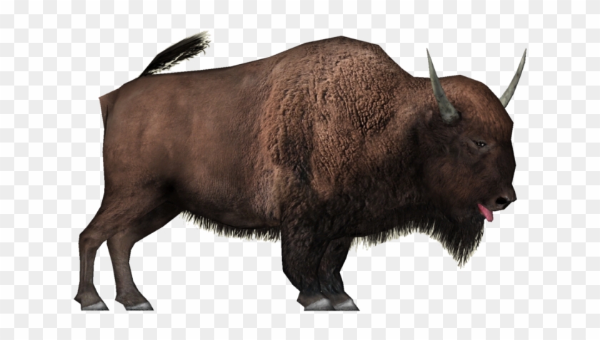 Png Source - Bison #1628205