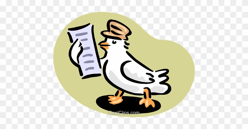 Pigeon Reading Message Royalty Free Vector Clip Art - Bricon #1628215