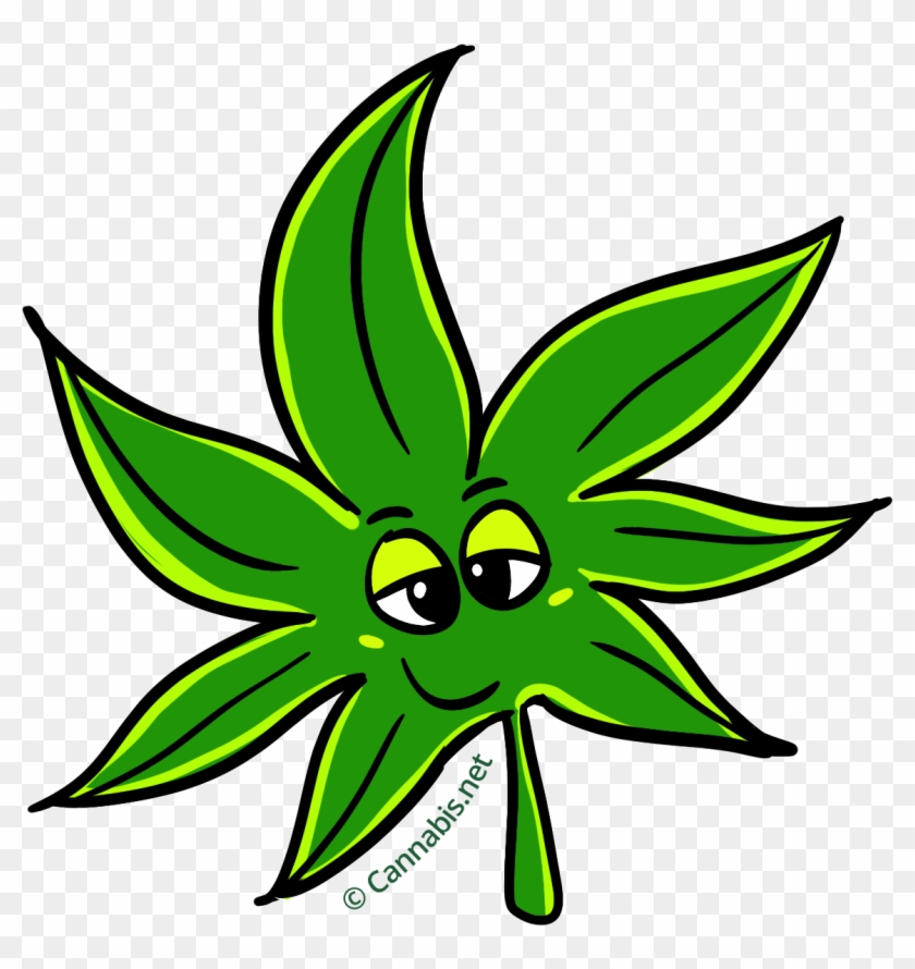 Relaxed Transparent Background - Marijuana Leaf Cartoon Png #1629278