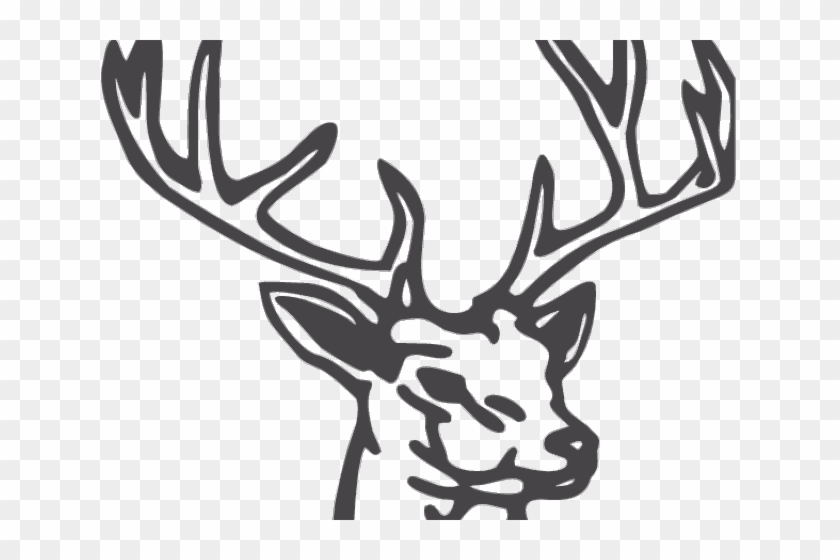 Elk Clipart Line Drawing - Draw A Deer Head #1629281