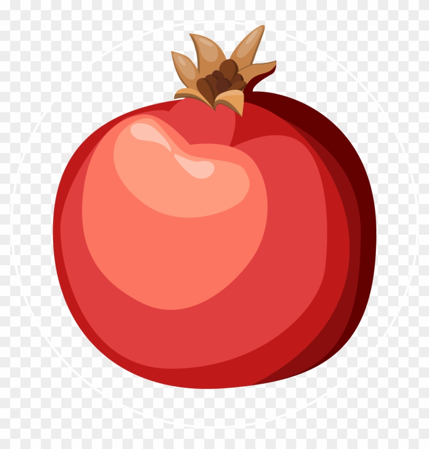 Pomegranate-icon - Illustration #1629358