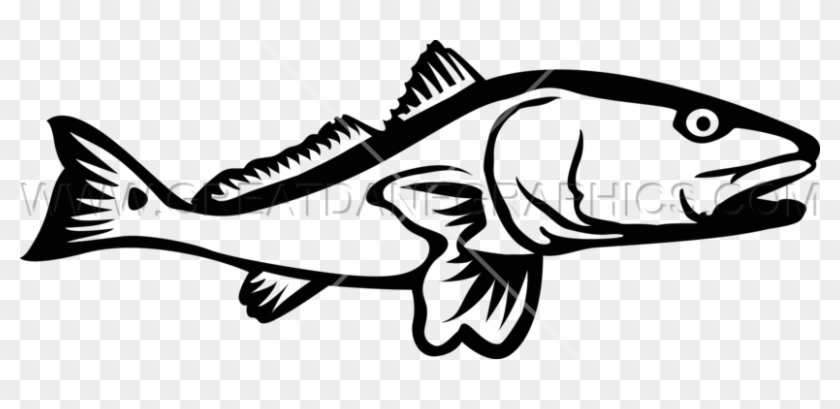 Red Fish Cliparts - Redfish Laser Clip Art #1629377