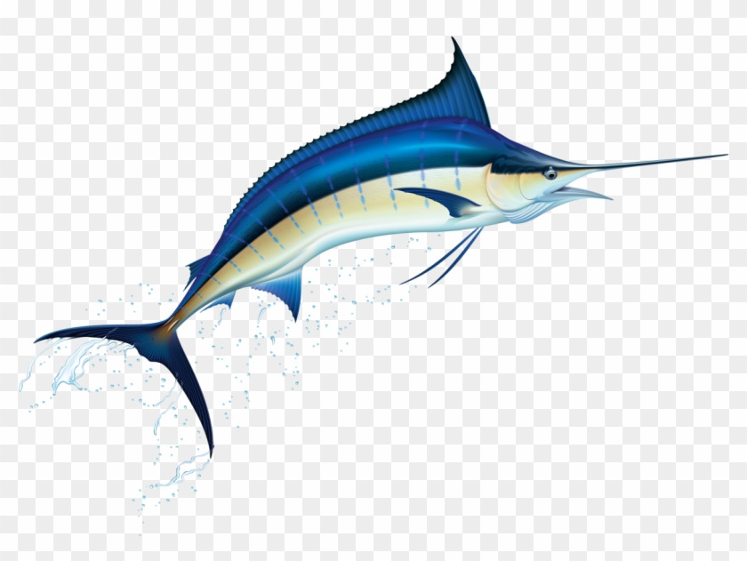 Фотки Blue Marlin, Clip Art, Illustrations - Marlin Illustration #1629456
