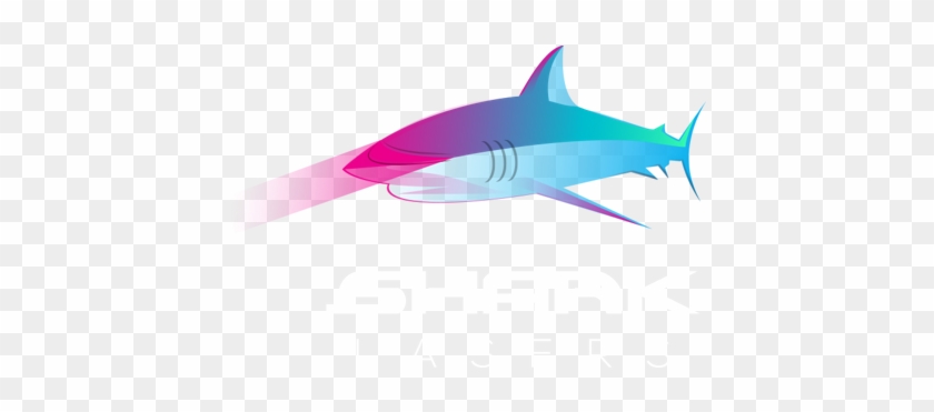 556 X 294 1 - Sharks With Laser #1629461