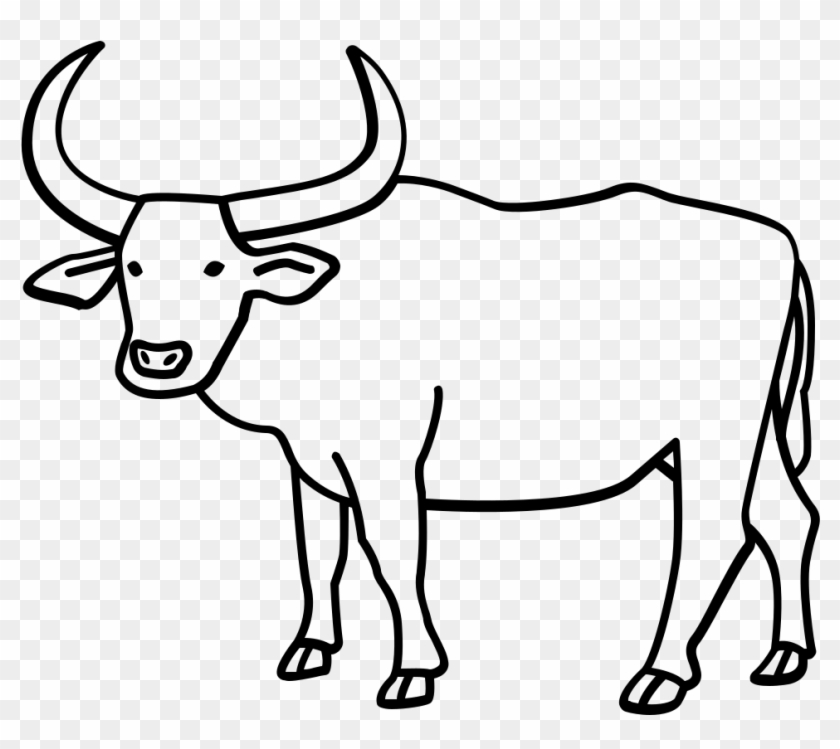 Gnu Clipart Female Buffalo - Drawing Of A Carabao #1629579