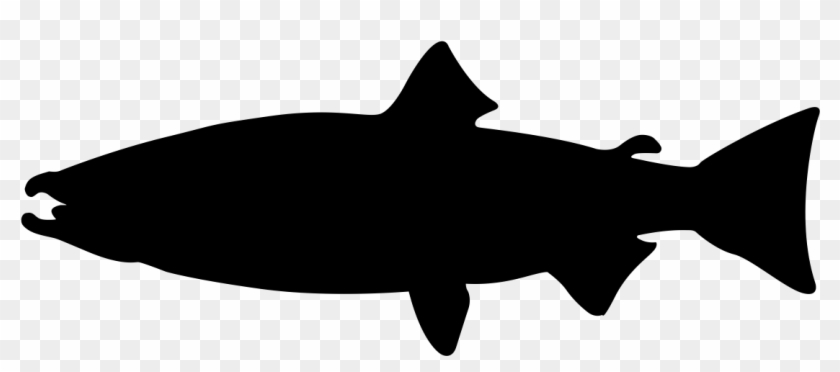 1200 X 1200 3 - White Shark Icon #1629614