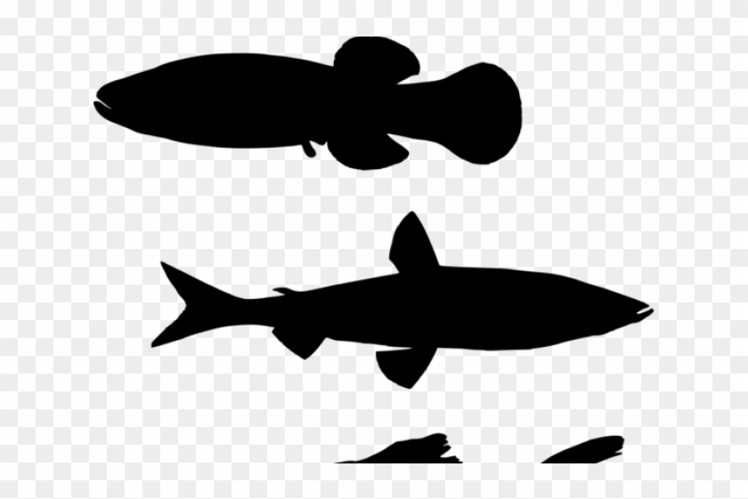 Fins Clipart Silhouette - Png Shoal Of Fish Silhouette #1629620
