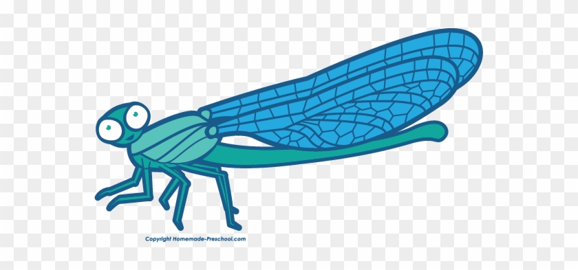 Free Dragonfly Clipart - Clip Art #251261