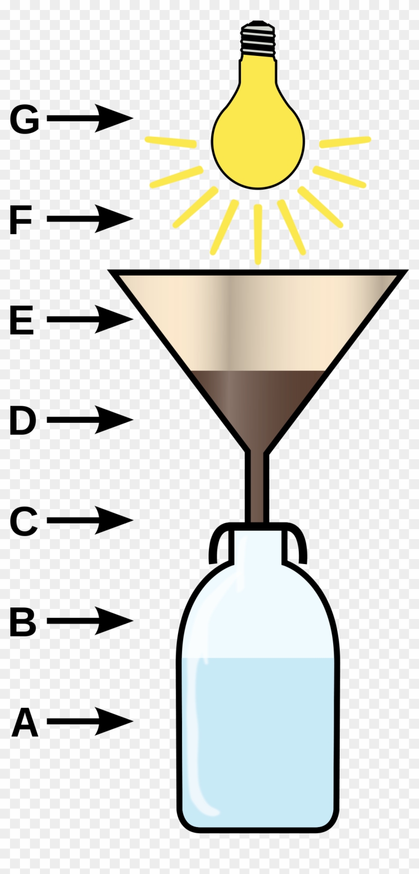 Berlese Funnel #251499