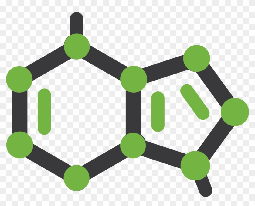 What Is In A Written Program - What Is In A Written Program #251641