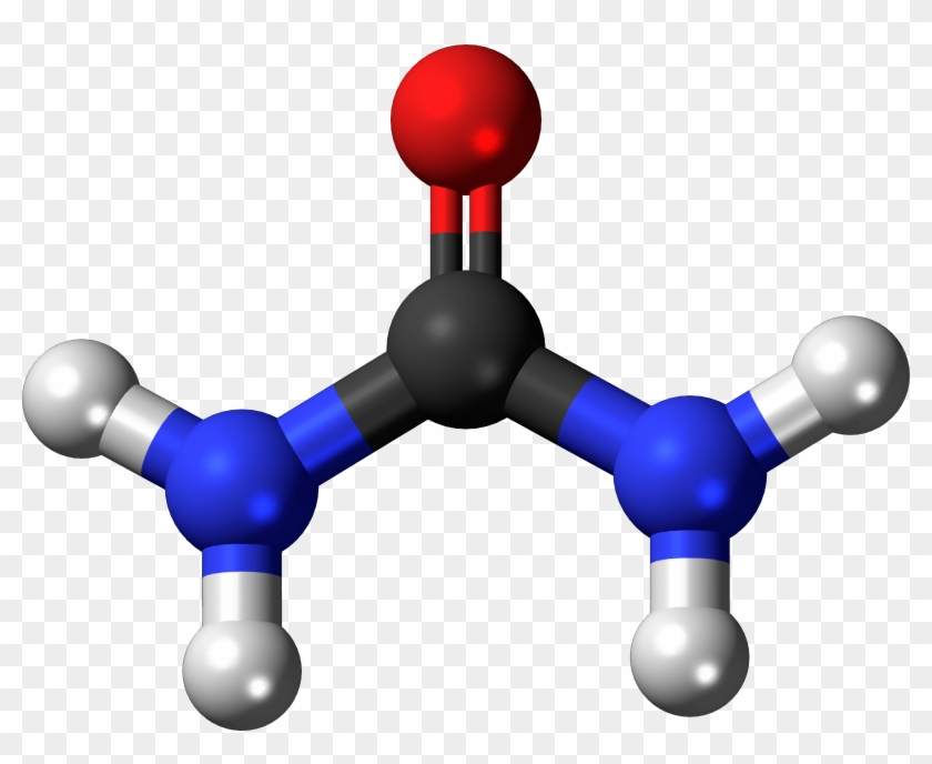 Infamous) Molecules - Urea Molecule #251719