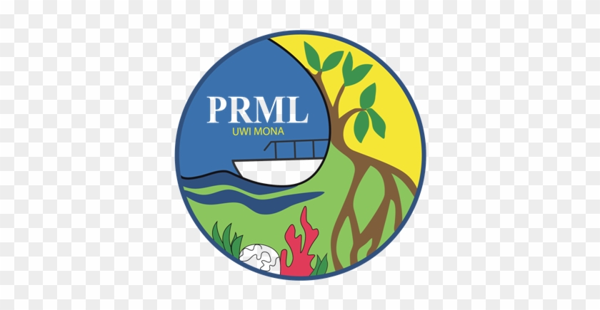 The Port Royal Marine Laboratory , Established In 1955, - Department Of Life Sciences #251734