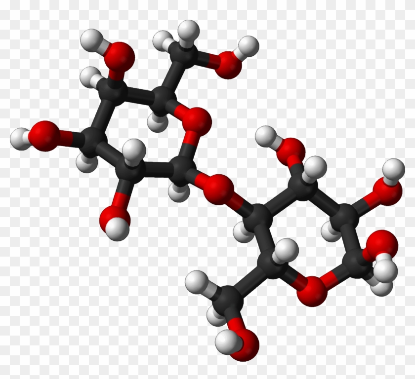 Infamous) Molecules - Lactose Molecule #251745