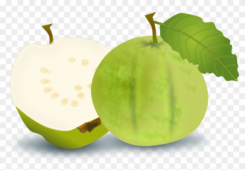 Cartoon Guava Clipart Illustration Image - Guava Clipart #251848