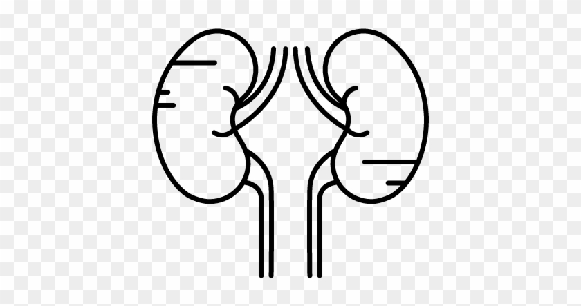 Simple Hand Gestures Clipart Two Kidneys Free Vectors - Kidney #252657