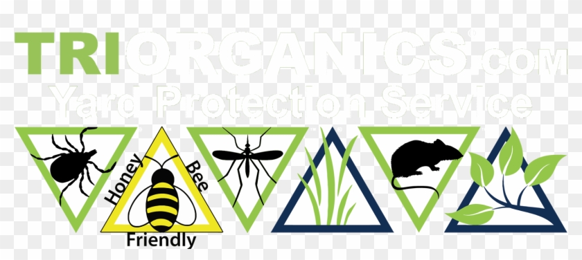 Tick Control & Mosquito Control - Bumble Bee Clip Art #253051