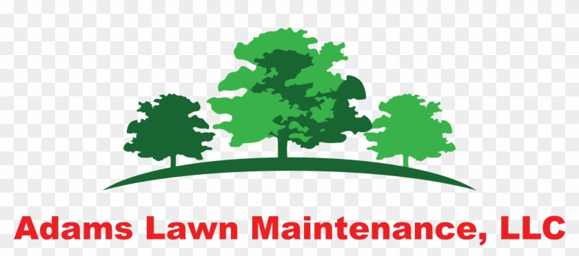 Adams Lawn Maintenance, Llc - Garden #253068