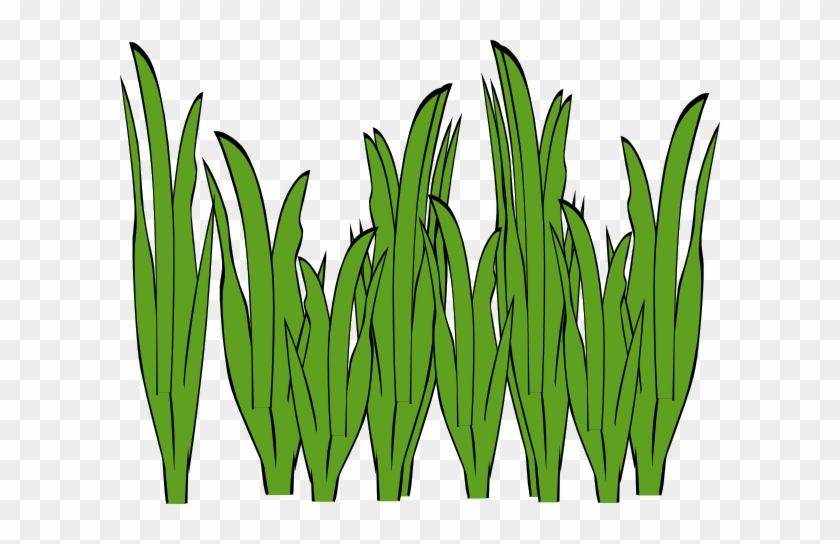 Grass Clipart - Seagrass Clipart #253112