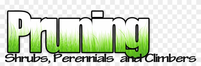 Pruning - Pruning #253148