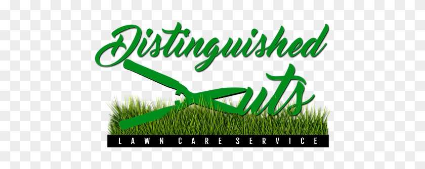 Your Home Deserves To Be - Grass #253179