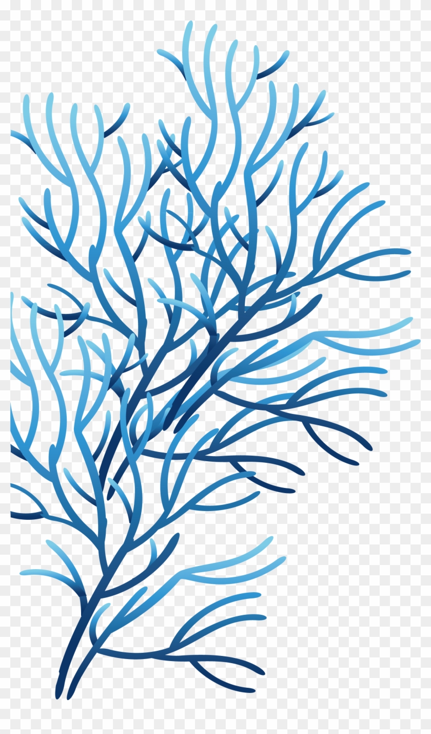 Coral Sea Clip Art - Coral #253212