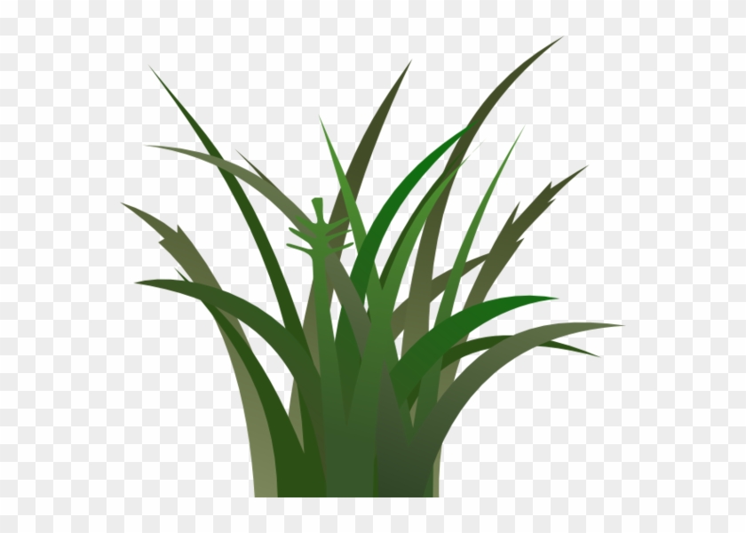 Grass Clipart Free Images 2 - Vegetation Clipart #253232